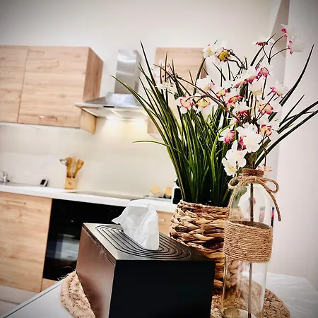 Apparemment Cosy - Centre