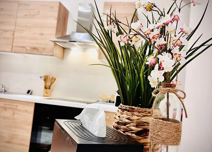 Apparemment Cosy - Centre