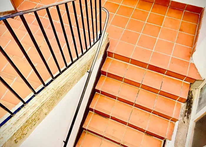 Apparemment Cosy - Centre